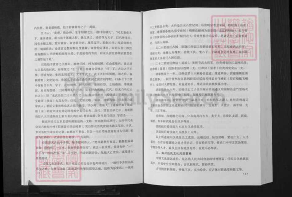 重庆市南川区任氏族谱-南川任氏族谱.pdf电子版预览图2