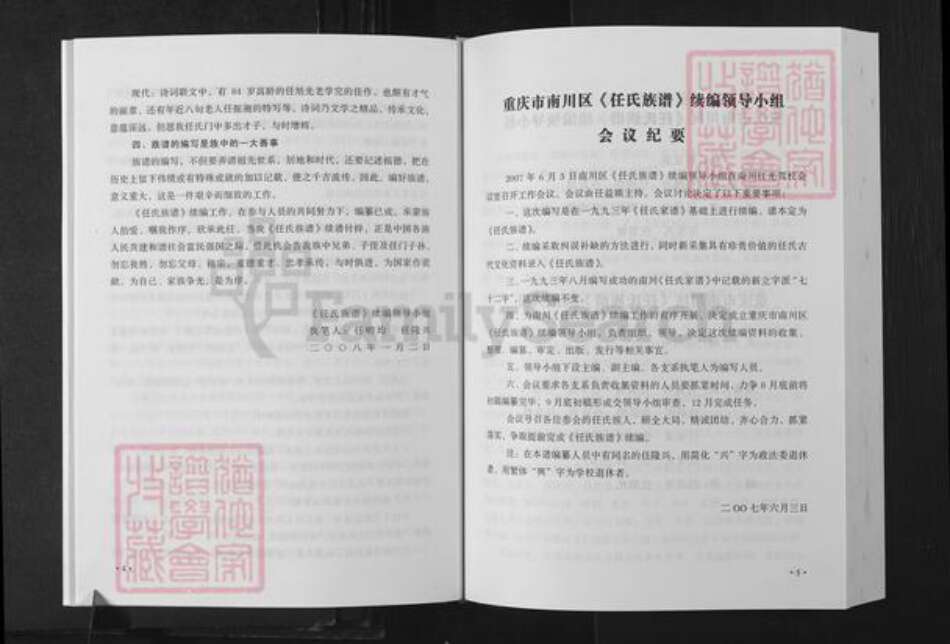 重庆市南川区任氏族谱-南川任氏族谱.pdf电子版预览图3