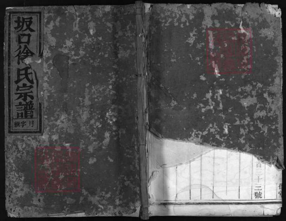 浙江省徐氏族谱-坂口徐氏宗谱 [3卷].pdf电子版预览图1