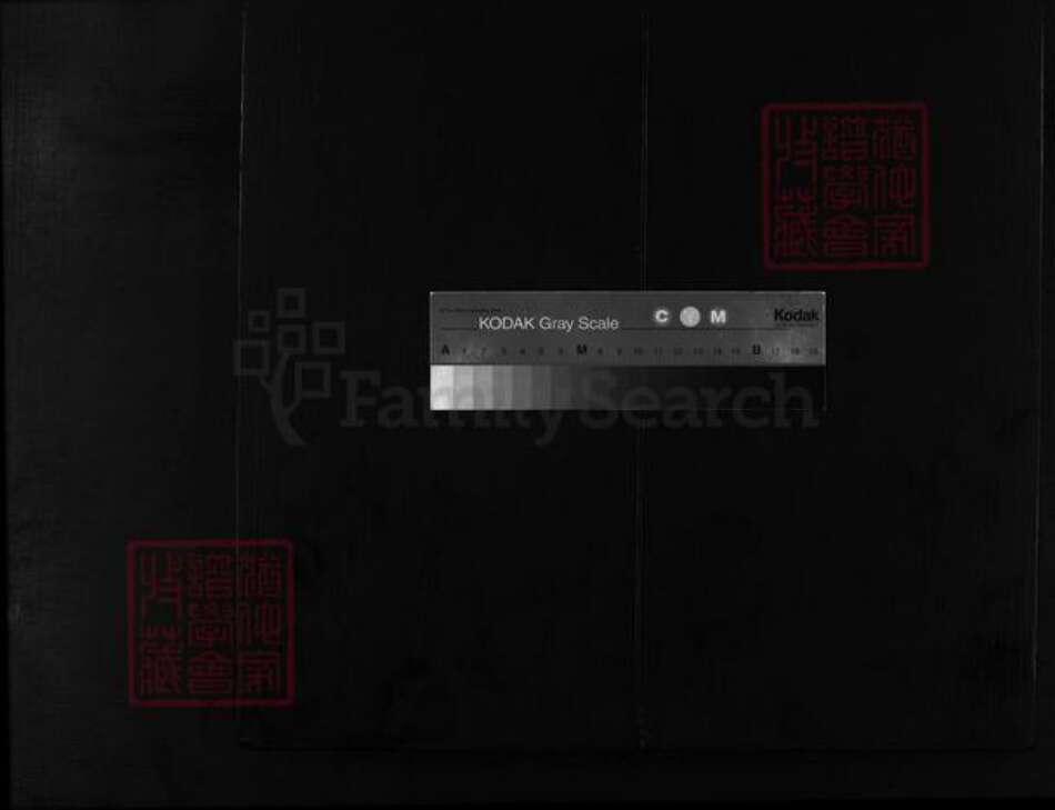 浙江省童；胡氏族谱-安定郡铁炉头胡氏宗谱 [1卷].pdf电子版缩略图