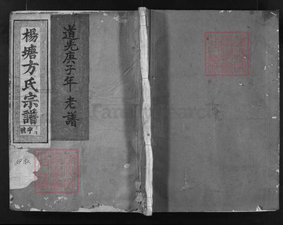 浙江省方氏族谱-杨塘方氏宗谱 [残卷1卷].pdf电子版预览图1