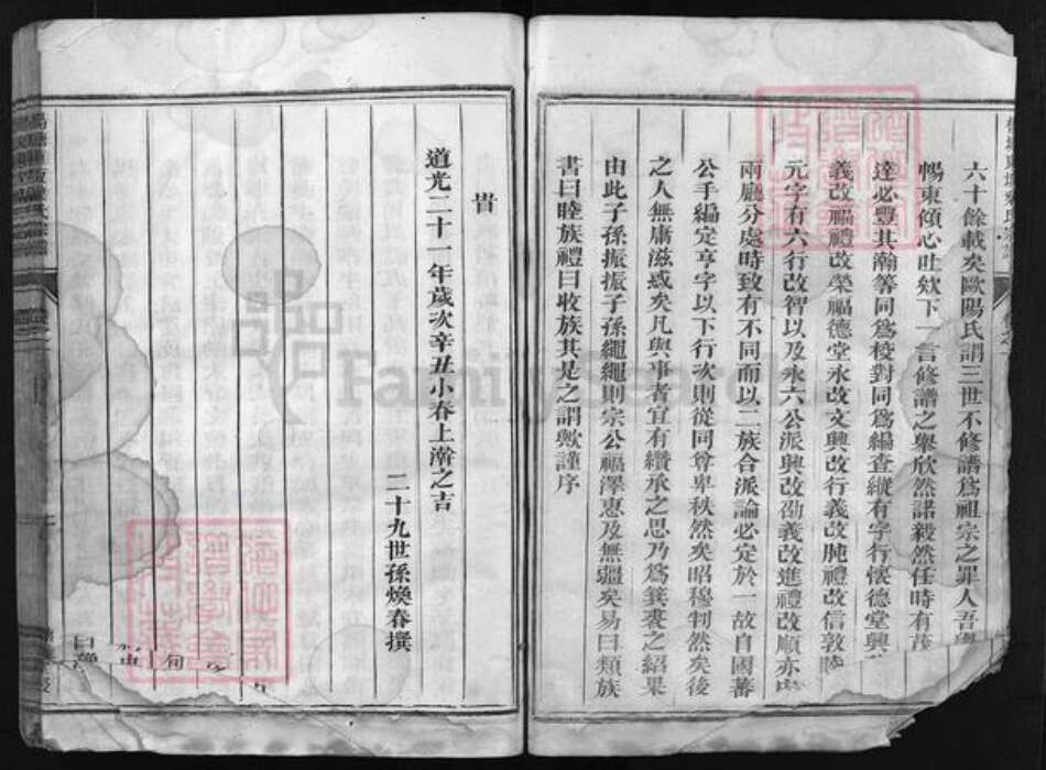 浙江省叶氏族谱-杨塘东坂叶氏宗谱 [残卷].pdf电子版预览图5