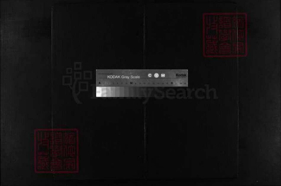 浙江省王氏族谱-畈洋王氏宗谱 [2卷].pdf电子版缩略图