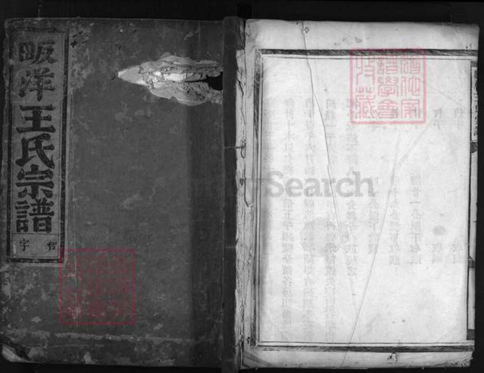 浙江省王氏族谱-畈洋王氏宗谱 [2卷].pdf电子版预览图1