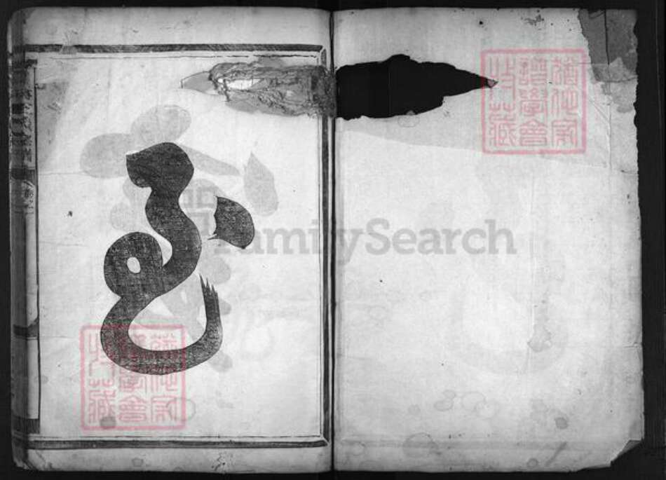 浙江省王氏族谱-畈洋王氏宗谱 [2卷].pdf电子版预览图2