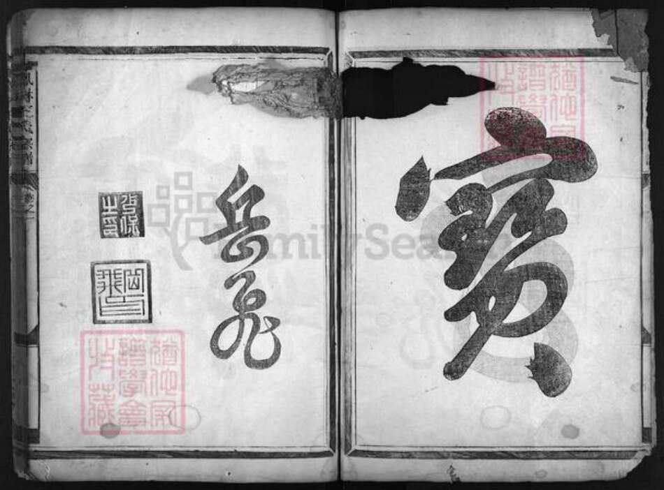 浙江省王氏族谱-畈洋王氏宗谱 [2卷].pdf电子版预览图3