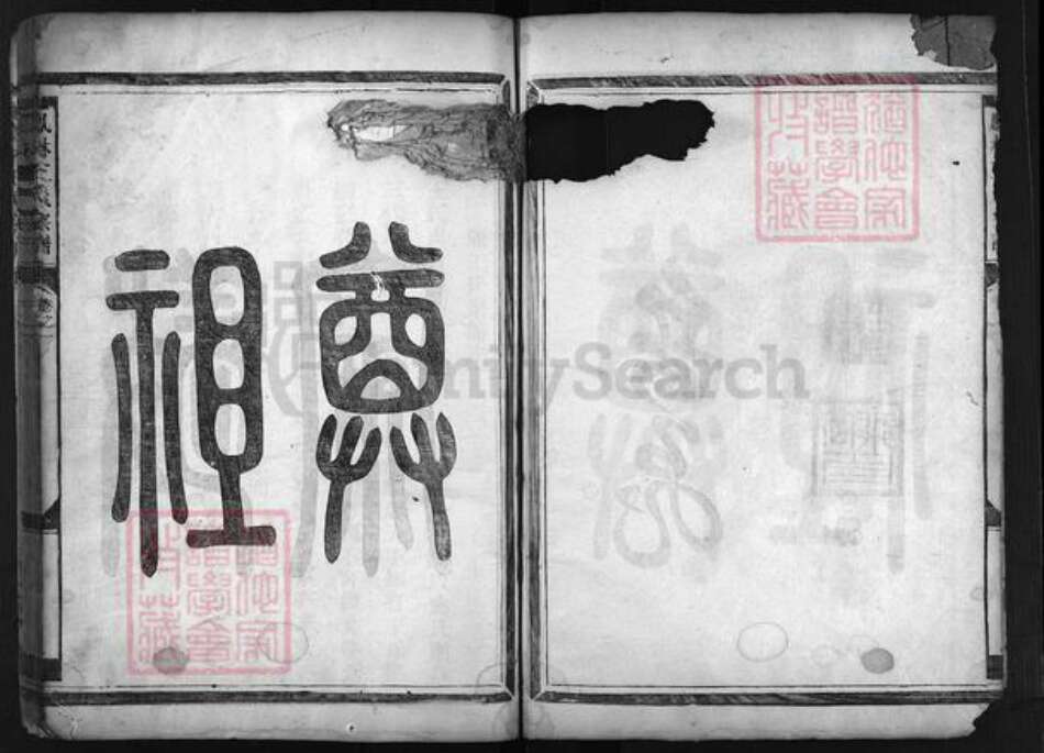 浙江省王氏族谱-畈洋王氏宗谱 [2卷].pdf电子版预览图4