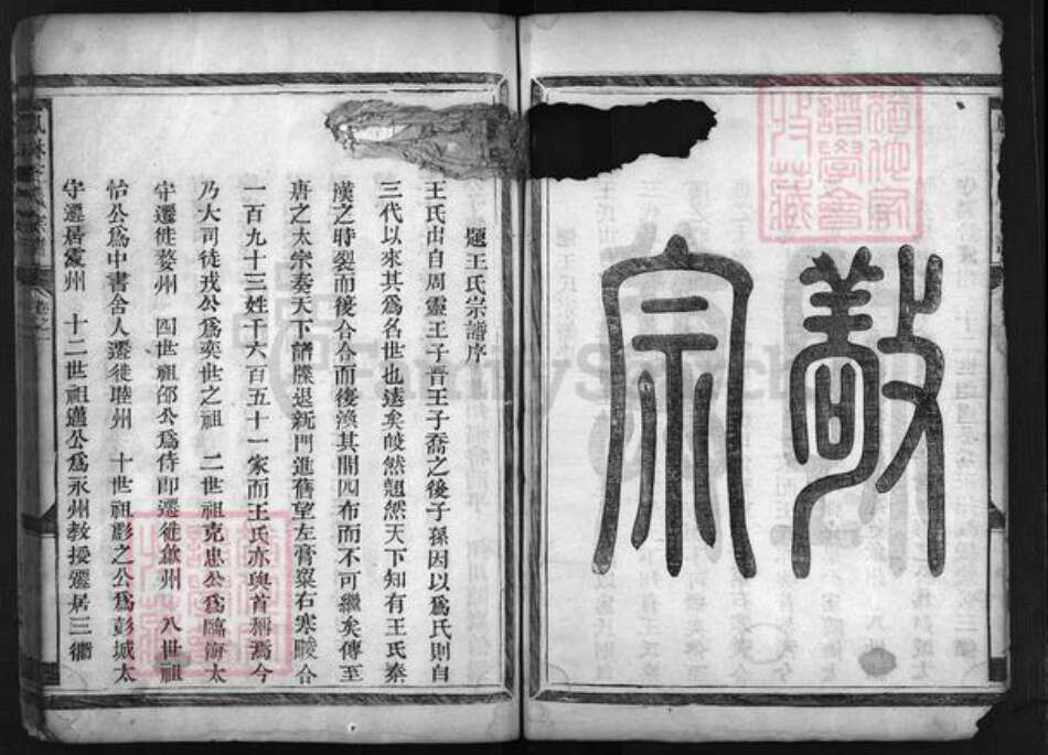 浙江省王氏族谱-畈洋王氏宗谱 [2卷].pdf电子版预览图5