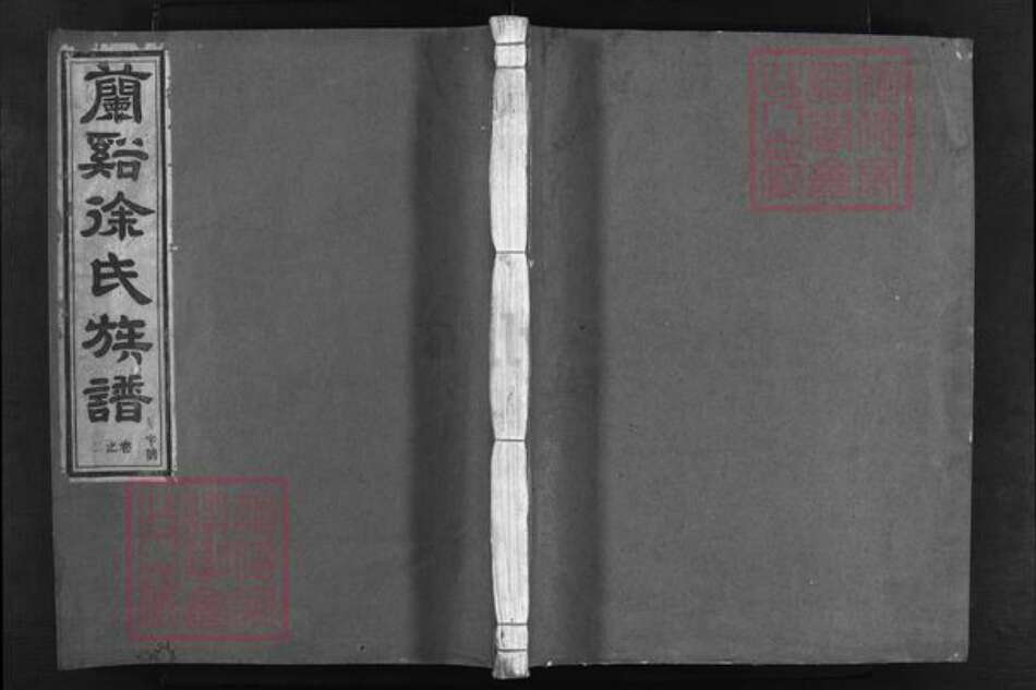 浙江省徐氏族谱-兰谿望江楼徐氏族谱 [残卷1卷].pdf电子版预览图1