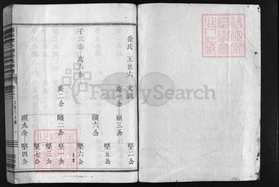 浙江省徐氏族谱-兰谿望江楼徐氏族谱 [残卷1卷].pdf电子版预览图2