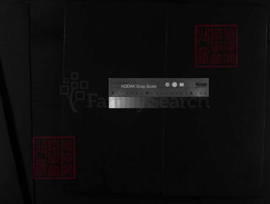 浙江省童；胡氏族谱-铁炉头胡氏宗谱 [2卷].pdf电子版缩略图