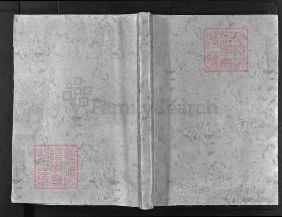 浙江省童；胡氏族谱-铁炉头胡氏宗谱 [2卷].pdf电子版预览图1