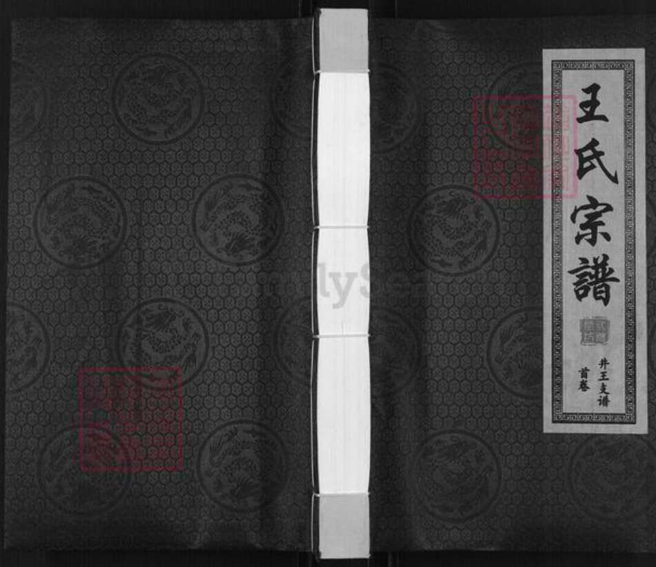 安徽省宿州市泗县草沟镇王氏三槐堂族谱-王氏宗谱.井王支谱.pdf电子版缩略图