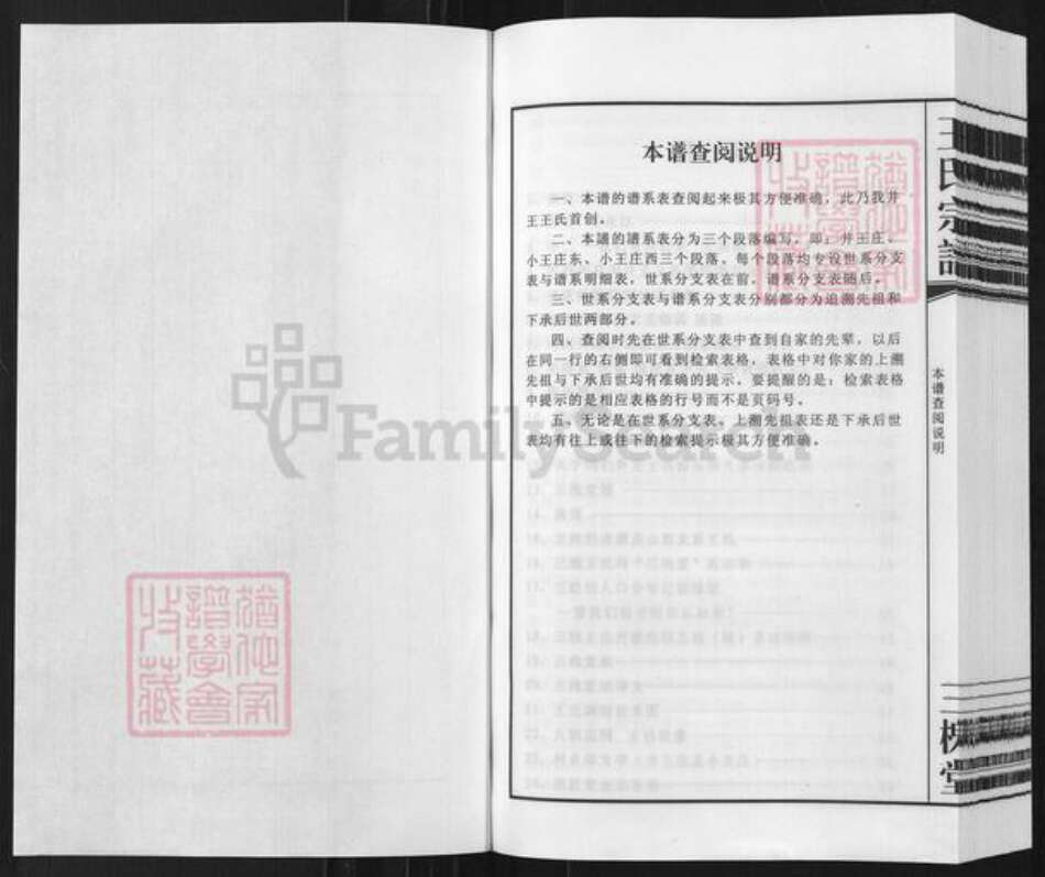 安徽省宿州市泗县草沟镇王氏三槐堂族谱-王氏宗谱.井王支谱.pdf电子版预览图1