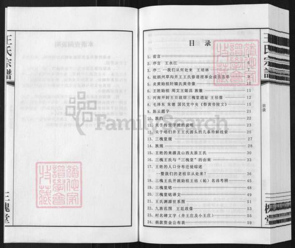 安徽省宿州市泗县草沟镇王氏三槐堂族谱-王氏宗谱.井王支谱.pdf电子版预览图2