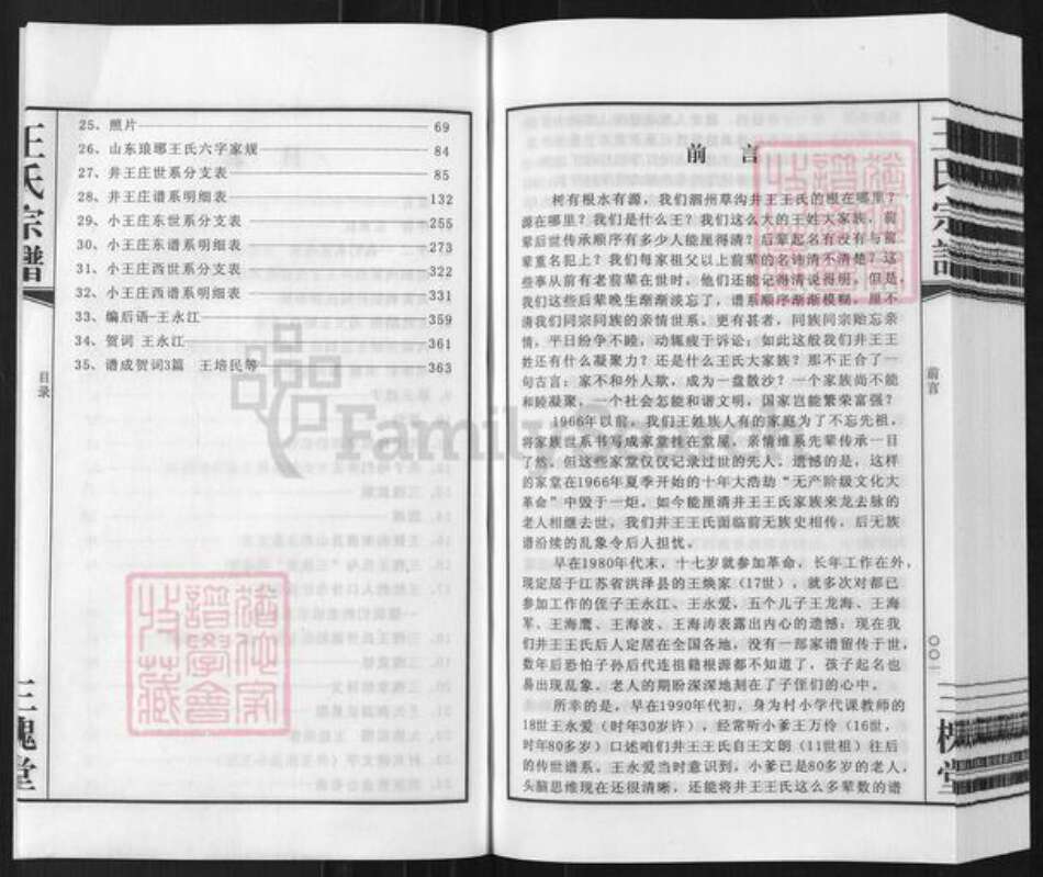 安徽省宿州市泗县草沟镇王氏三槐堂族谱-王氏宗谱.井王支谱.pdf电子版预览图3