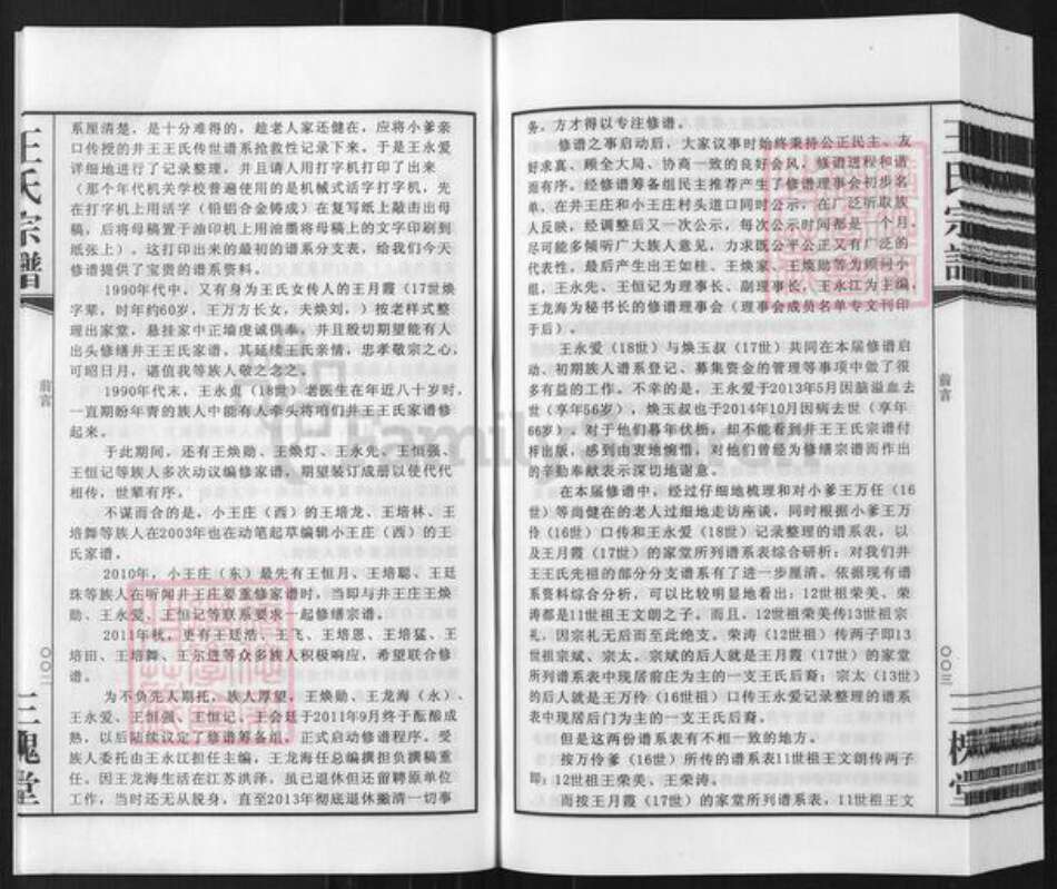 安徽省宿州市泗县草沟镇王氏三槐堂族谱-王氏宗谱.井王支谱.pdf电子版预览图4