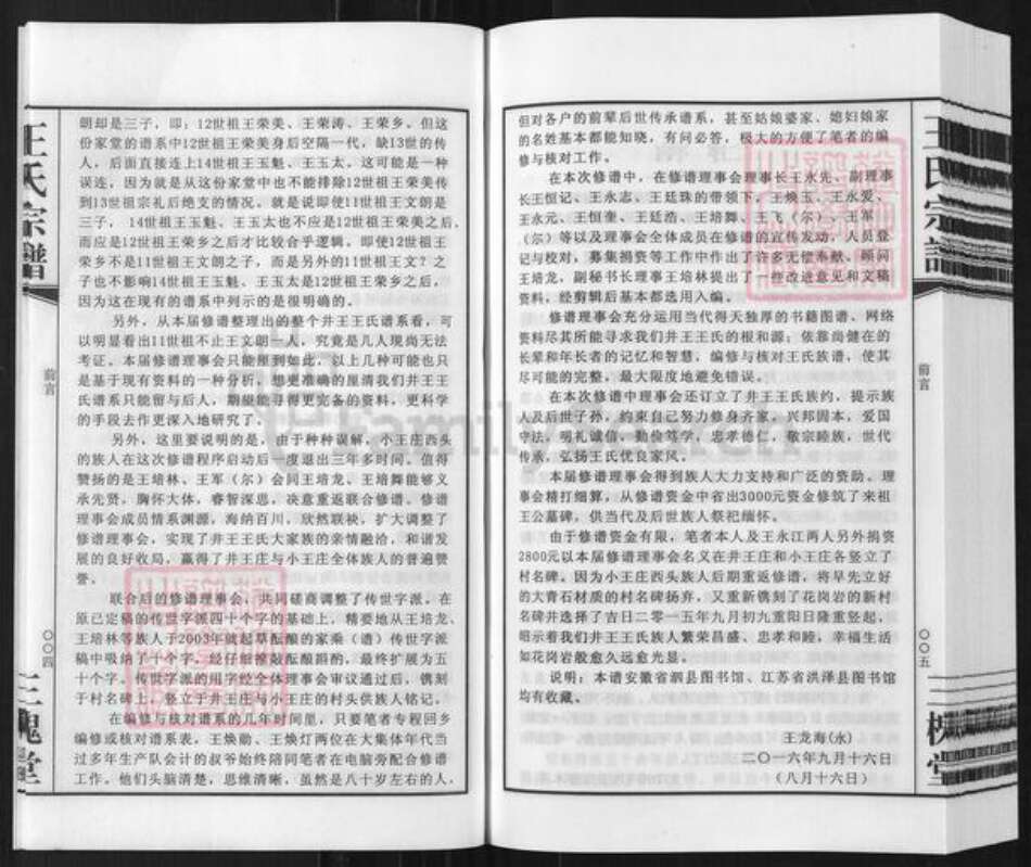 安徽省宿州市泗县草沟镇王氏三槐堂族谱-王氏宗谱.井王支谱.pdf电子版预览图5