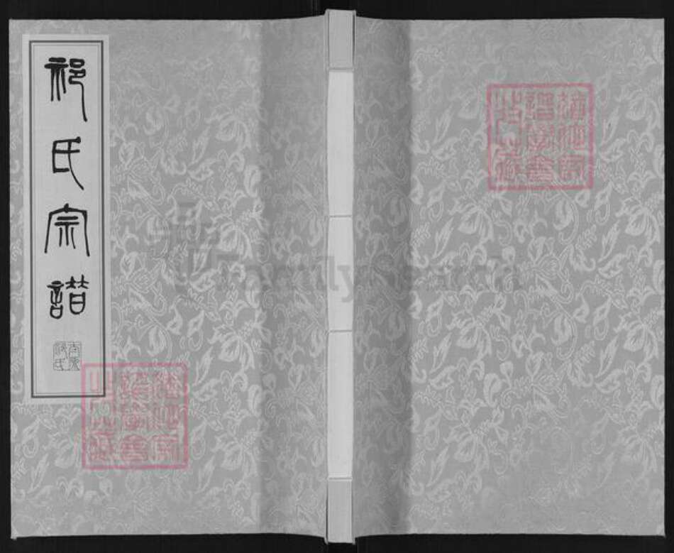 江苏省盐城市亭湖区新兴镇祁氏举贤堂族谱-祁氏宗谱.新兴支系谱.pdf电子版缩略图