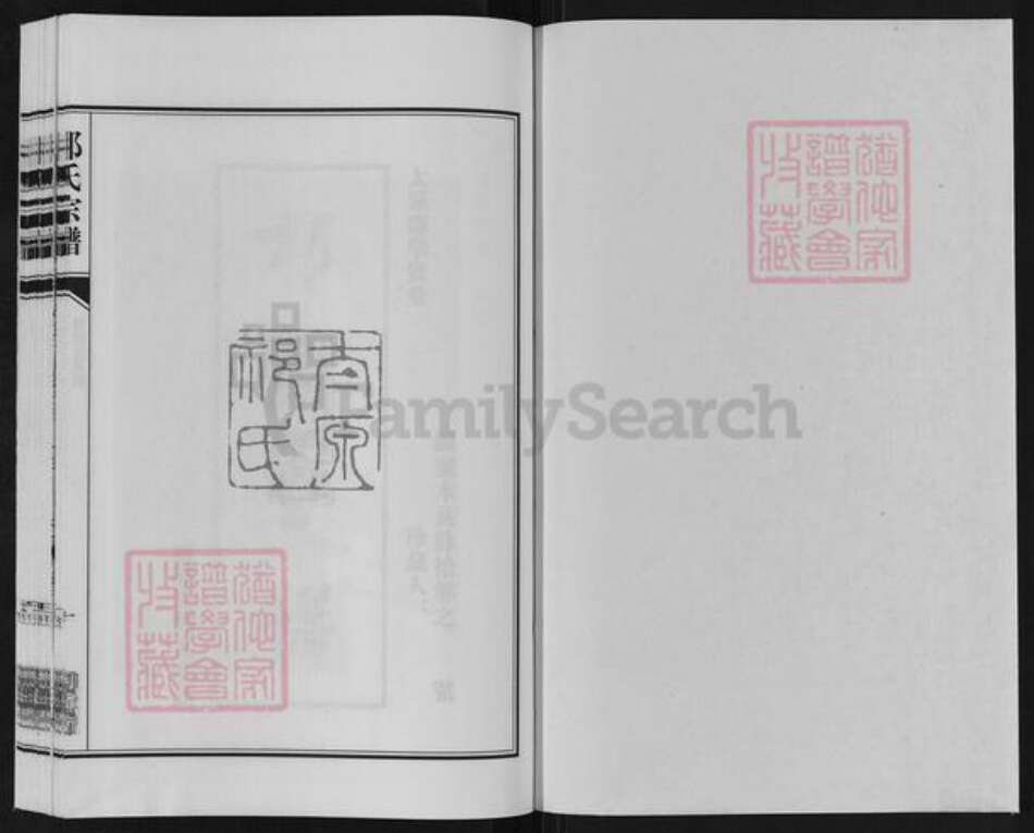 江苏省盐城市亭湖区新兴镇祁氏举贤堂族谱-祁氏宗谱.新兴支系谱.pdf电子版预览图1