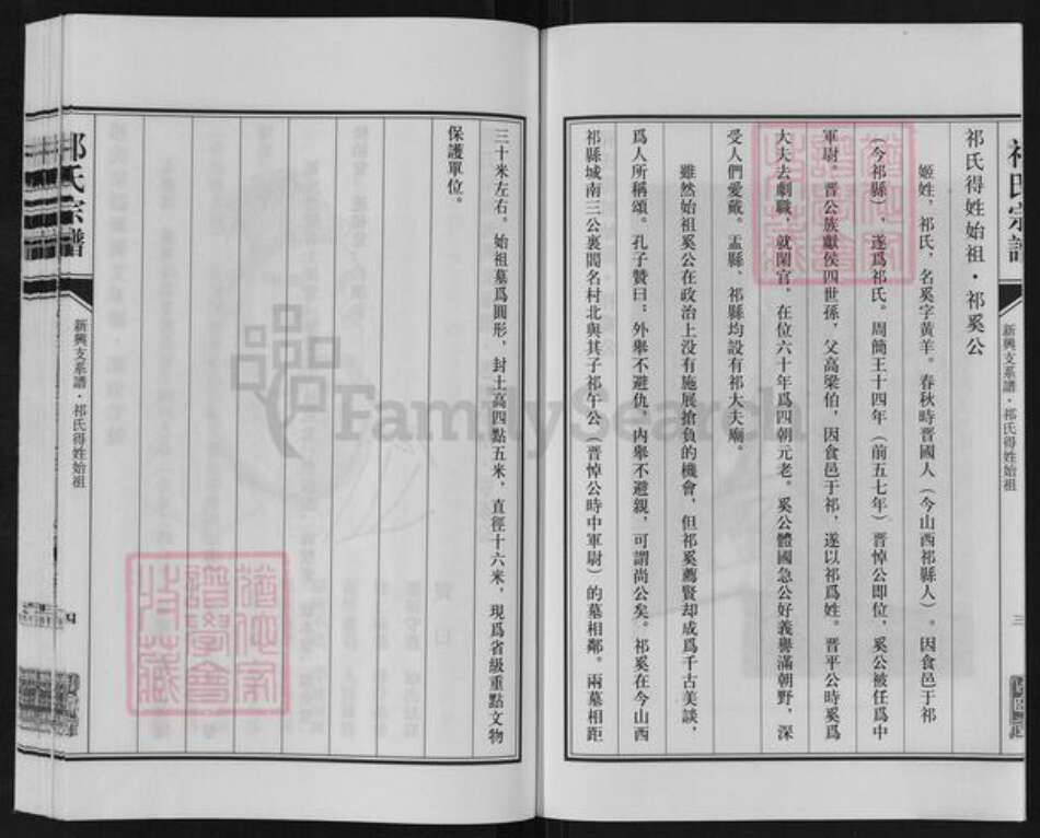 江苏省盐城市亭湖区新兴镇祁氏举贤堂族谱-祁氏宗谱.新兴支系谱.pdf电子版预览图4