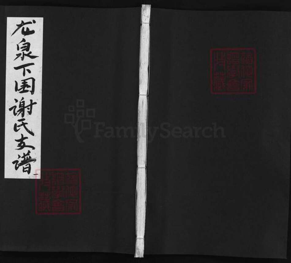 江西省吉安市遂川县谢氏族谱-龙泉下围谢氏支谱 [不分卷].pdf电子版预览图1