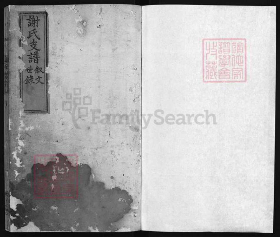 江西省吉安市遂川县谢氏族谱-龙泉下围谢氏支谱 [不分卷].pdf电子版预览图2