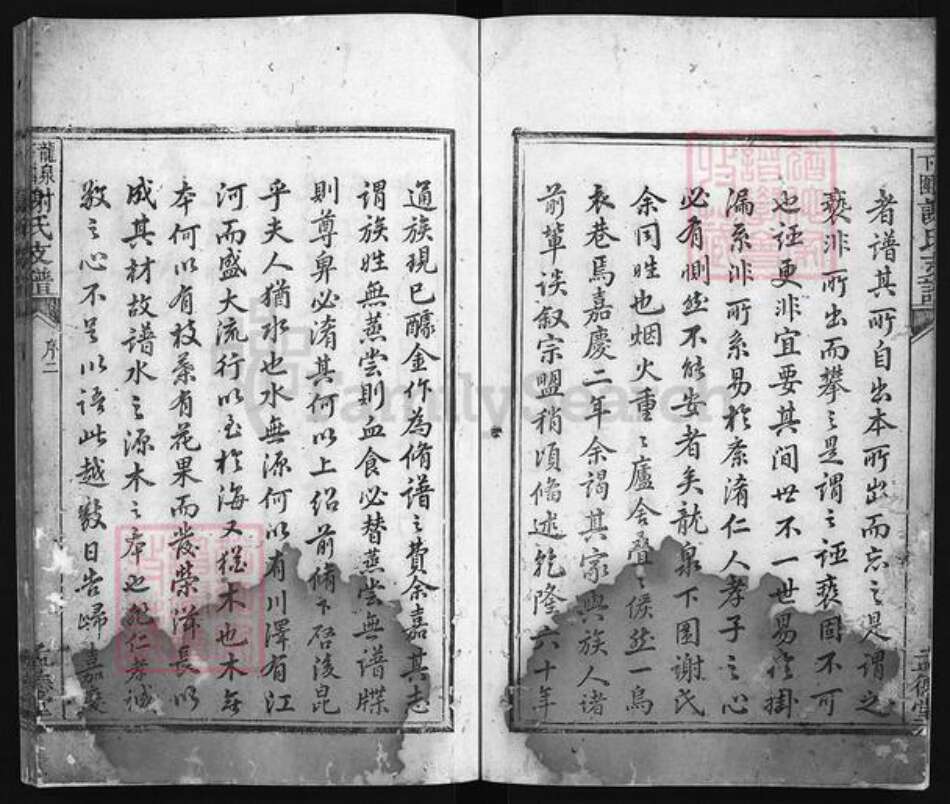 江西省吉安市遂川县谢氏族谱-龙泉下围谢氏支谱 [不分卷].pdf电子版预览图5