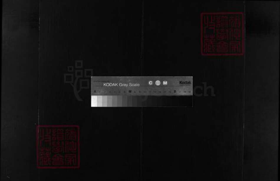 福建省泉州市安溪县廖氏族谱-廖氏宗谱 [不分卷].pdf电子版缩略图