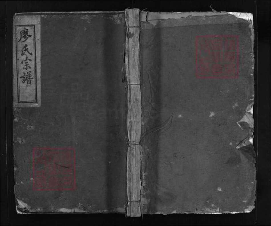 福建省泉州市安溪县廖氏族谱-廖氏宗谱 [不分卷].pdf电子版预览图1