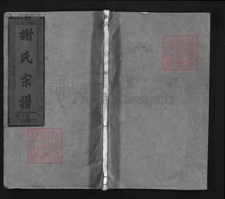 江西省上饶市谢氏族谱-谢氏宗谱 [2卷].pdf电子版预览图1