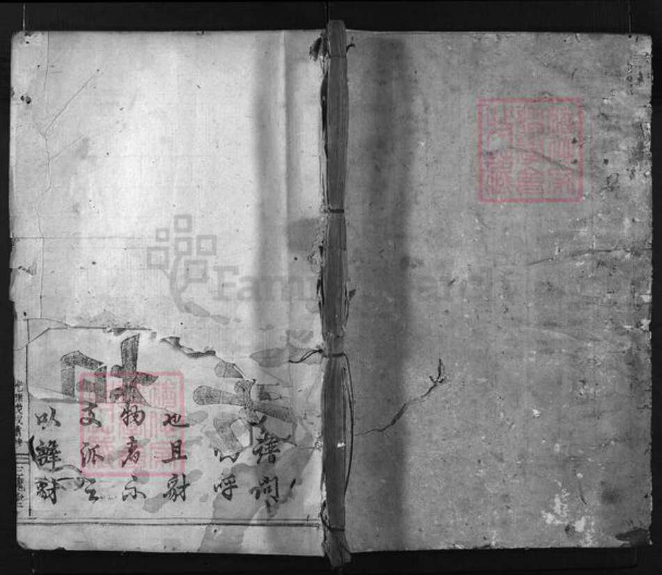 浙江省王氏族谱-凤林王氏宗谱 [4卷].pdf电子版预览图1