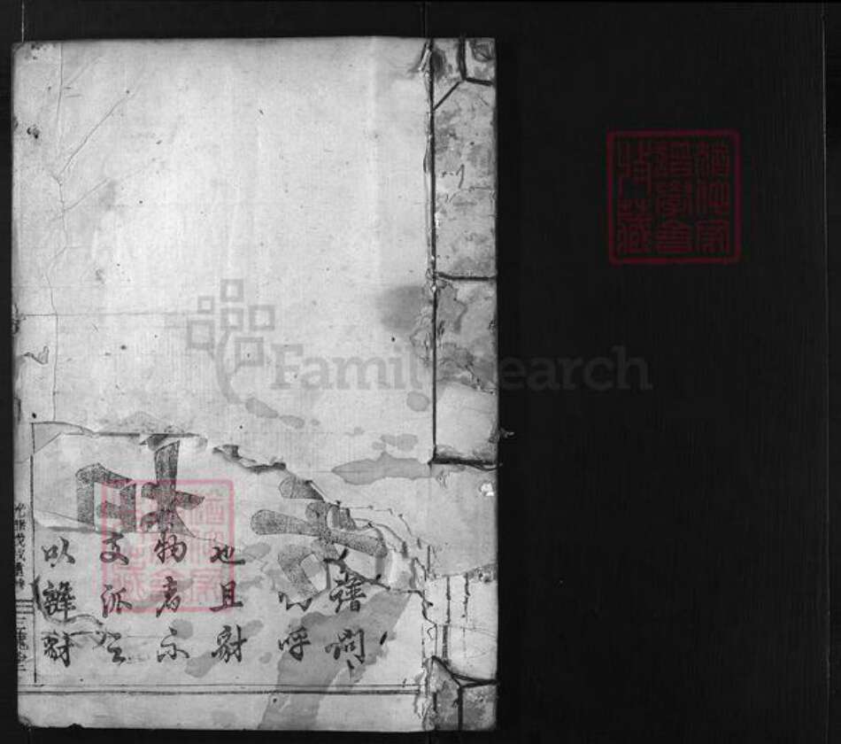 浙江省王氏族谱-凤林王氏宗谱 [4卷].pdf电子版预览图2