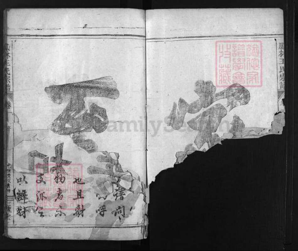 浙江省王氏族谱-凤林王氏宗谱 [4卷].pdf电子版预览图4