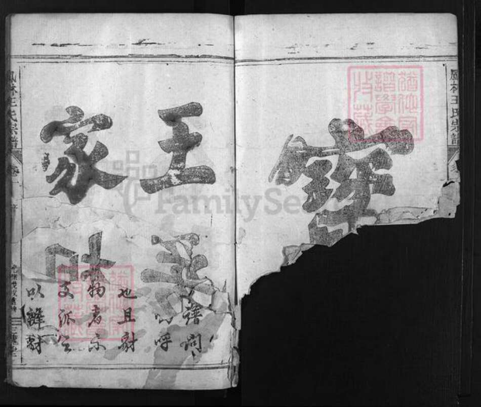 浙江省王氏族谱-凤林王氏宗谱 [4卷].pdf电子版预览图5