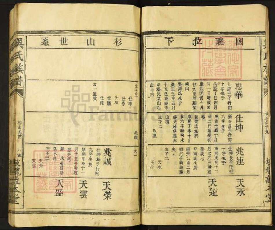 江西省宜春市丰城市张巷镇吴氏敦本堂族谱-吴氏族谱.pdf电子版预览图5