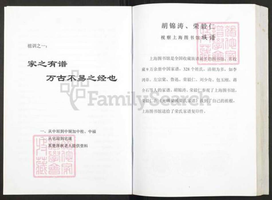 湖南省湘潭市湘乡市山枣镇楚氏新平堂族谱-楚氏新平堂英公支谱.灌房南泉二三子松柏公八修谱.pdf电子版预览图2