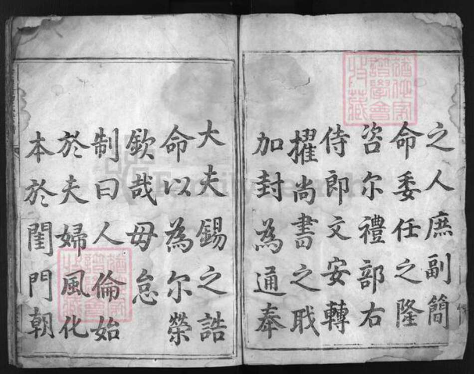 浙江省杨氏族谱-宏农杨氏宗谱 [3卷].pdf电子版预览图3