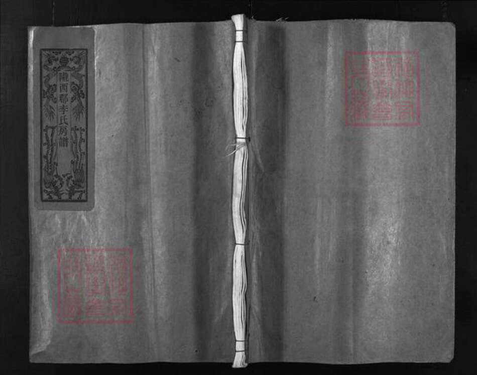 江西省赣州市瑞金市李氏族谱-陇西郡李氏房谱 [总卷数不详].pdf电子版预览图1