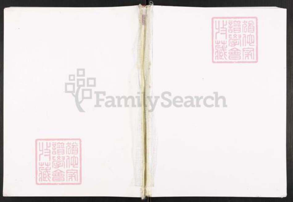 河南省南阳市邓州市赵集镇王氏族谱-王氏家谱.pdf电子版缩略图