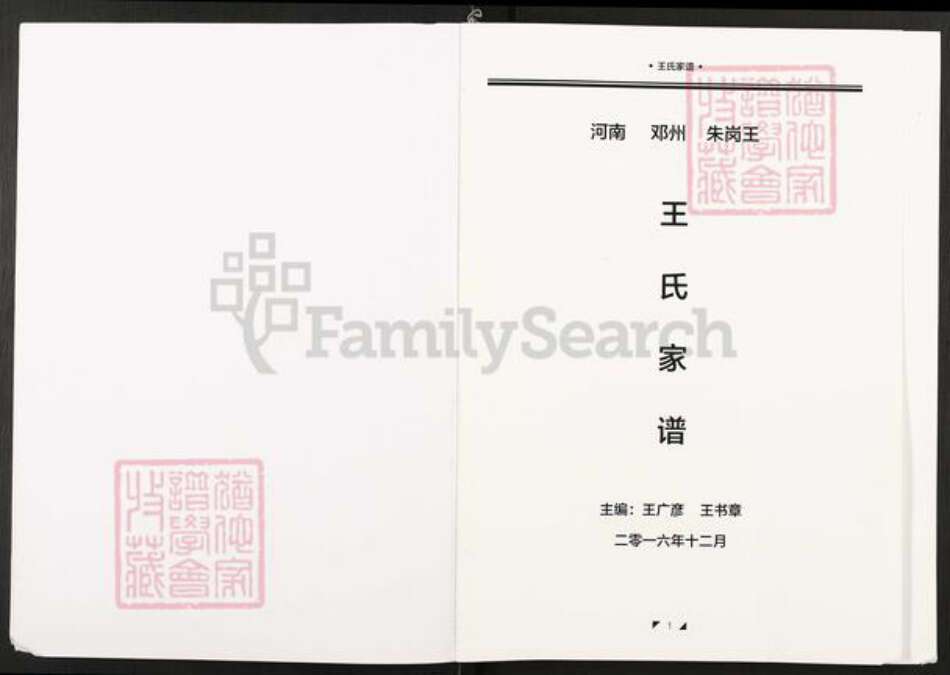 河南省南阳市邓州市赵集镇王氏族谱-王氏家谱.pdf电子版预览图1