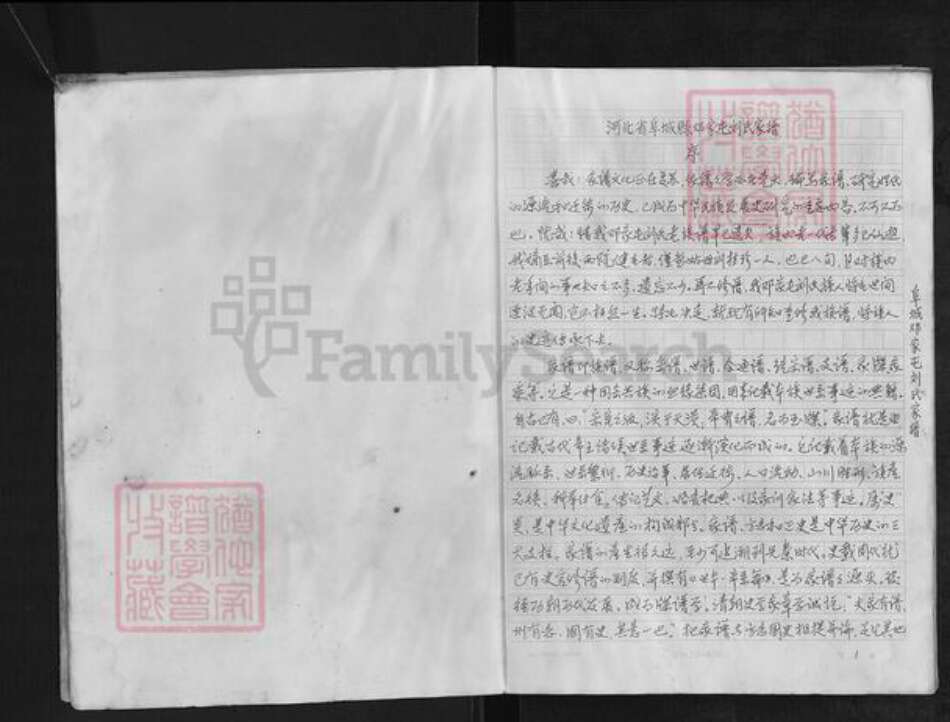 河北省衡水市阜城县蒋坊乡刘氏族谱-阜城邓家屯刘氏家谱.pdf电子版预览图3