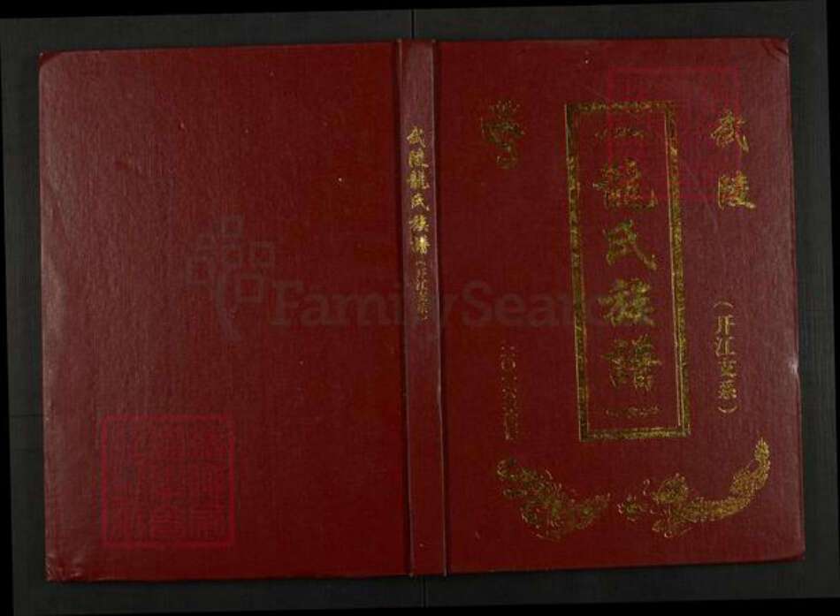 四川省达州市开江县龙氏族谱-武陵龙氏族谱《开江支系》 四川开江县.pdf电子版缩略图