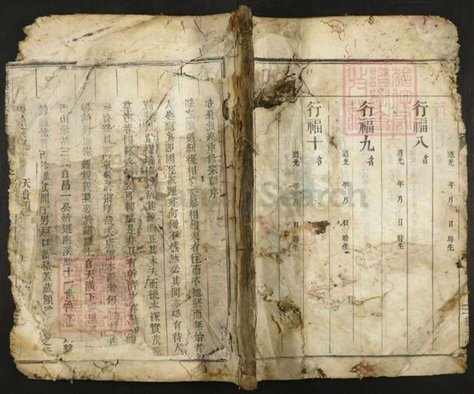 浙江省金华市李氏族谱-南溪李氏宗谱.pdf电子版缩略图