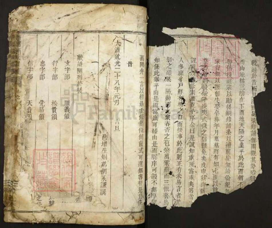 浙江省金华市李氏族谱-南溪李氏宗谱.pdf电子版预览图2