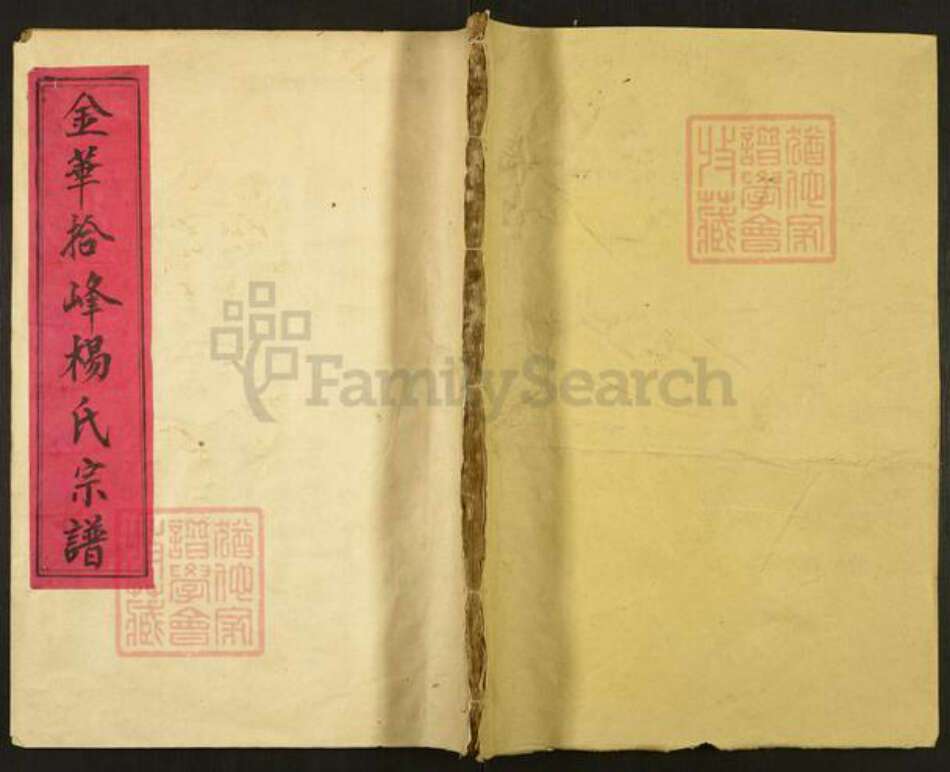 浙江省金华市杨氏族谱-关西杨氏宗谱.pdf电子版缩略图