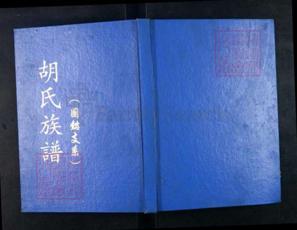 重庆市江津区贾嗣镇胡氏族谱-胡氏族谱.国懿支系.pdf电子版缩略图