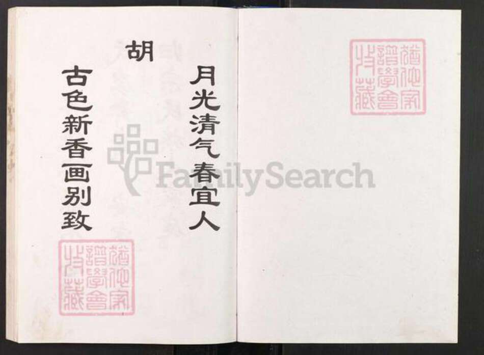 重庆市江津区贾嗣镇胡氏族谱-胡氏族谱.国懿支系.pdf电子版预览图1