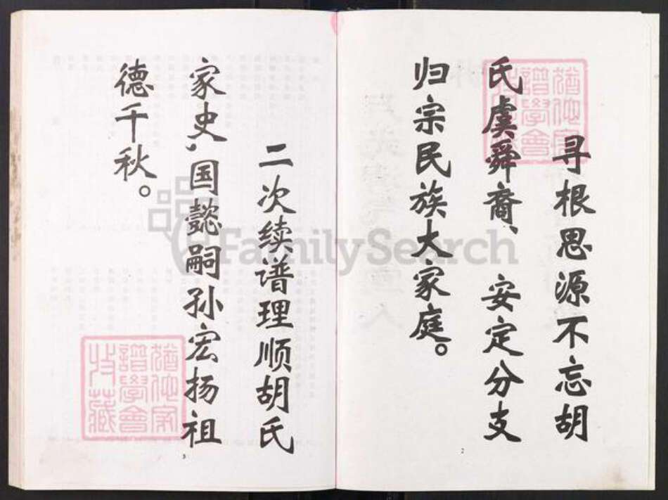 重庆市江津区贾嗣镇胡氏族谱-胡氏族谱.国懿支系.pdf电子版预览图2