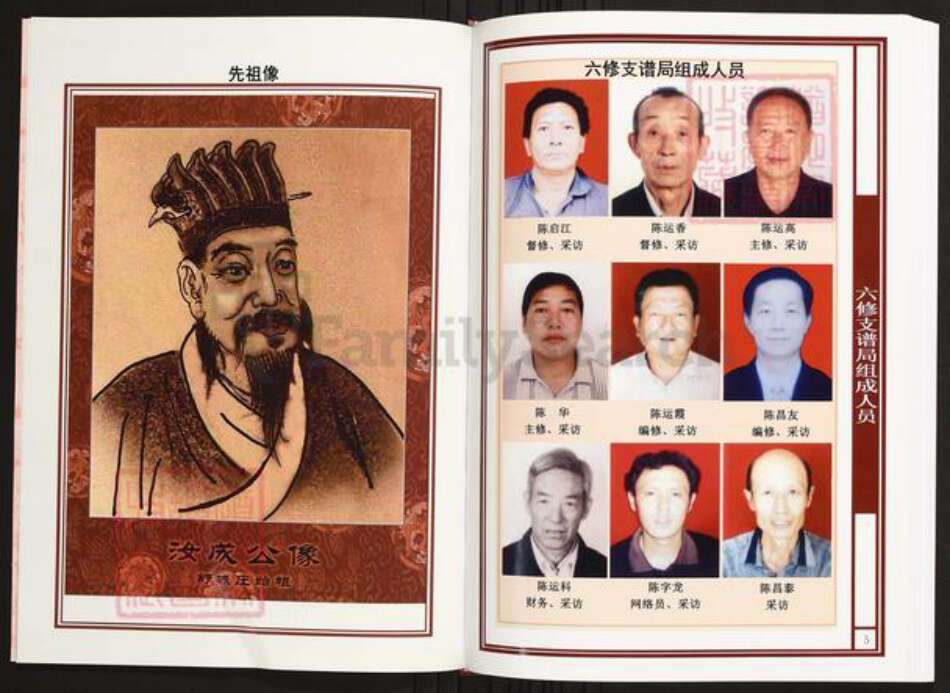 安徽省六安市霍山县陈氏族谱-中华义门陈氏大成谱安徽舒城庄陈建冲从新公陈氏族谱.pdf电子版预览图3